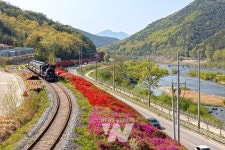 가을엔 눈이 즐거운 전남 드라이브 코스 밟으세요