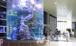 추석 연휴 해양수산과학관·섬진강어류생태관서 힐링하세요
