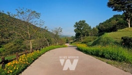 화순군, 추석연휴 고인돌유적지 관람오세요