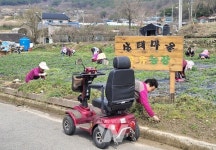 곡성군 죽곡면 삼태마을, 마을 공동체 사업 최우수상 수상
