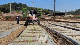 전남도, 농식품부 공모 밭작물 공동경영체 육성 3개소 선정... 국비 15억 확보