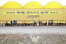 신안군, 퍼플 바나나 농장 개소식