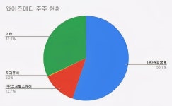 [진단_와이즈메디] 불안한 성장과 집중된 위험에 휩싸인 와이즈메디
