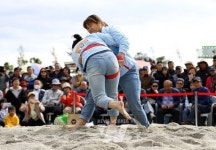 강진군민과 관광객이 함께... 강진만 춤추는 갈대축제
