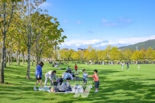 순천시 오천그린광장&그린아일랜드, 2024아시아도시경관상 본상 수상