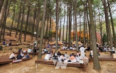 보성군, 제암산자연휴양림에서 2024년 제2회 전라남도지사배 숲속 캠핑대회 성료