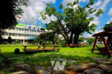 곡성군, 2025년도 예산안 4,611억 원 편성... 예산규모 3.5% 줄어