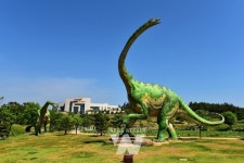 알로사우루스가 깨어났다... 해남공룡박물관, 대형 스크린 실감영상 설치