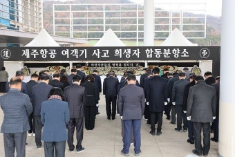 전남도의회, '제주항공 여객기 참사 사고대책지원단' 구성