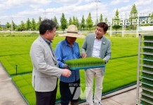 보성군, 2025 연이은 신화 도전... 보성살기 참 잘했다 절로 나오네