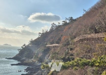 해남군, 땅끝탑 가는 길... 꿈길처럼 걸어요