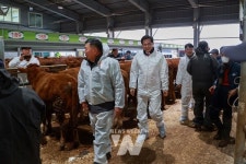 우승희 영암군수, 가축경매시장서 축산농가와 소통
