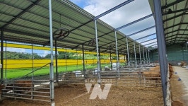 영암군, 축산분야 지원사업 2/12일까지 접수