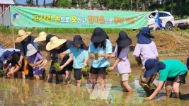 폐교 위기 광산구 본량초, 작은 학교 불씨 살렸다