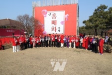 신안군, 2025 섬 홍매화축제기다림 끝에 개막!