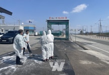 영광군, 구제역 확산 방지 위한 신속한 대응 나서