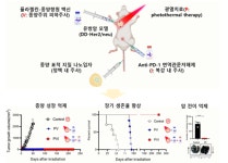 전남대 연구팀, 혁신적 암 면역치료법 개발