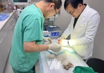 순천시, 반려동물 공공진료소... 전국 최초로 일요일 문 연다