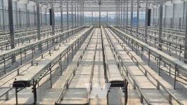 영암 스마트팜서 토마토 재배할 청년 모집