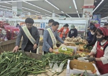 해풍 맞고 자란 고흥 거금도 햇양파, 서울 소비자 입맛 잡았다!