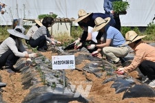 [포토] 광주 서구 서창 도시농부 마을 텃밭 개장