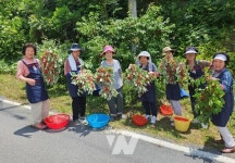 영암군 효도복지에 어르신들 웃었다