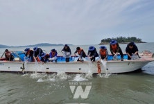전남도해양수산과학원, 동부권역 굴 산업 활성화 나서