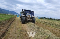 전남도, 축산농가 등 고품질 조사료 생산에 1천4억 지원