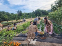 화순군, 고인돌오토캠핑장 배움캠프 개최
