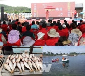 신안군, 제15회 섬 밴댕이 축제 종료
