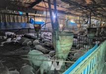 나주시, 세지면 대산지구 농촌공간정비사업 확정… 4년 연속 선정