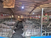 나주시, 세지면 대산지구 농촌공간정비사업 확정… 4년 연속 선정