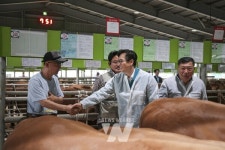 영암군, 구제역 이동제한 해제하고 가축시장 재개장