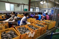 곡성군배영농조합법인, 7년 연속 농산물전문생산단지 최우수 선정