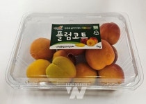 나주시, 플럼코트 판촉행사로 농가 판로지원 팔 걷었다