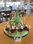 김철우 보성군수, 녹차에 이어 말차하면 보성을 떠올리도록