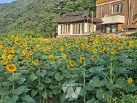 곡성군, 청정전남 으뜸마을 추진현황 현장점검 추진