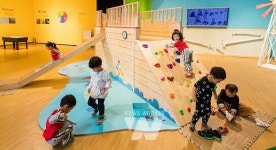 [광주 방문의 해] ⑤ 8월 도심 휴가지 책·캠핑·문화축제… 광주 도심이 피서지 된다