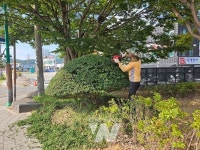 무안 청계면 서복현 씨, 17년간 나무전정 재능기부로 지역사회 모범돼