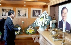 전남도, 신안 하의도에 한반도 평화의 숲 조성