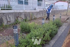 광주 광산구, 추석맞이 주요 도로 예초‧정비