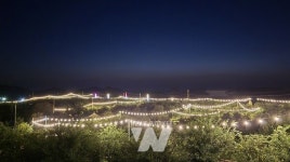 사람향기, 유자천국... 고흥의 밤, 유자빛으로 물든다