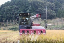 우승희 영암군수, 서호면 가루쌀 수확 현장서 농업인과 소통
