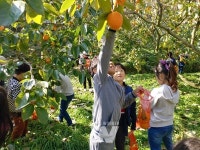 전남도, 11월 농촌체험휴양마을에 곡성 가정마을