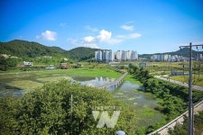 여수시, 관기 저수지 생태공원 조성사업 순항
