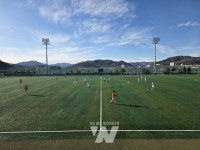 보성군, 2026년 동계 전지훈련지 최적지로 부상