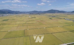 보성군, 재생에너지 기반 에너지 자립 도시 본격 시동