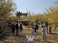 제27회 구례산수유꽃축제 개최