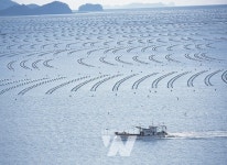 해남군, 수산물 유통·가공 분야 106억원 투입 어촌 경제 활력총력