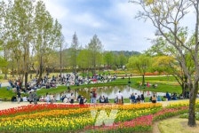 순천만국가정원, 100만 발길 더 빨라졌다... 경험형 콘텐츠로 흥행 이끌어